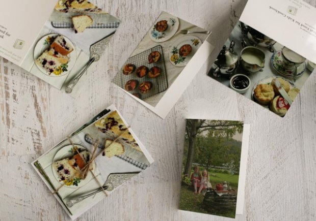 Eloise Emmett Gift Cards (1 of 1)