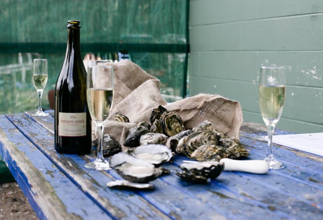 oysters and spark (1 of 1)