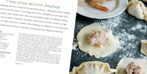 prawn dumpling blog (1 of 1)