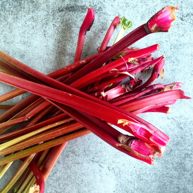 rhubarb