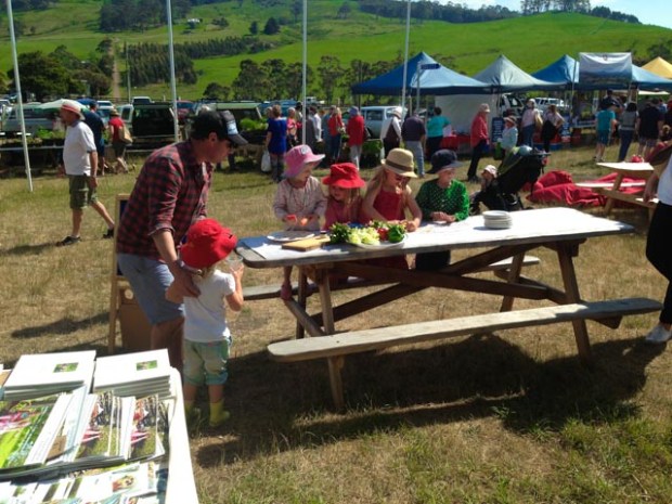 rice paper rolls (1 of 1)