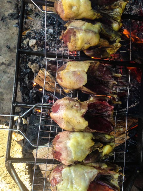 mutton birds (1 of 1)