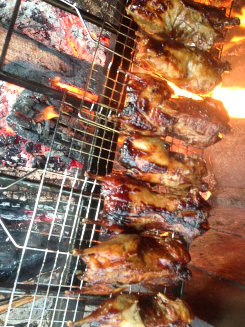 mutton birds 2 (1 of 1)