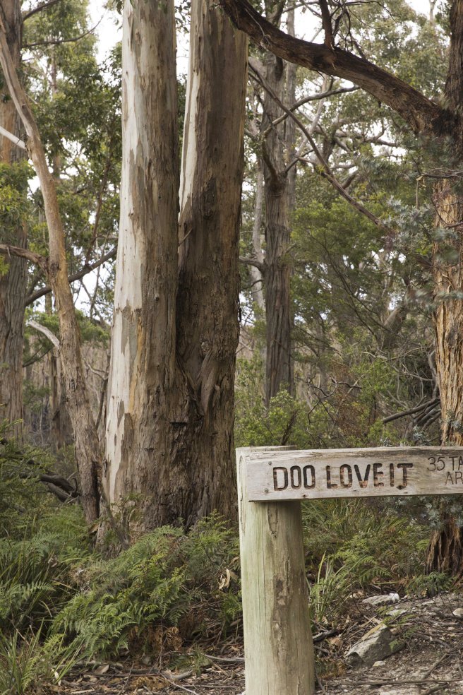 eloiseemmett-com-doo-town-8