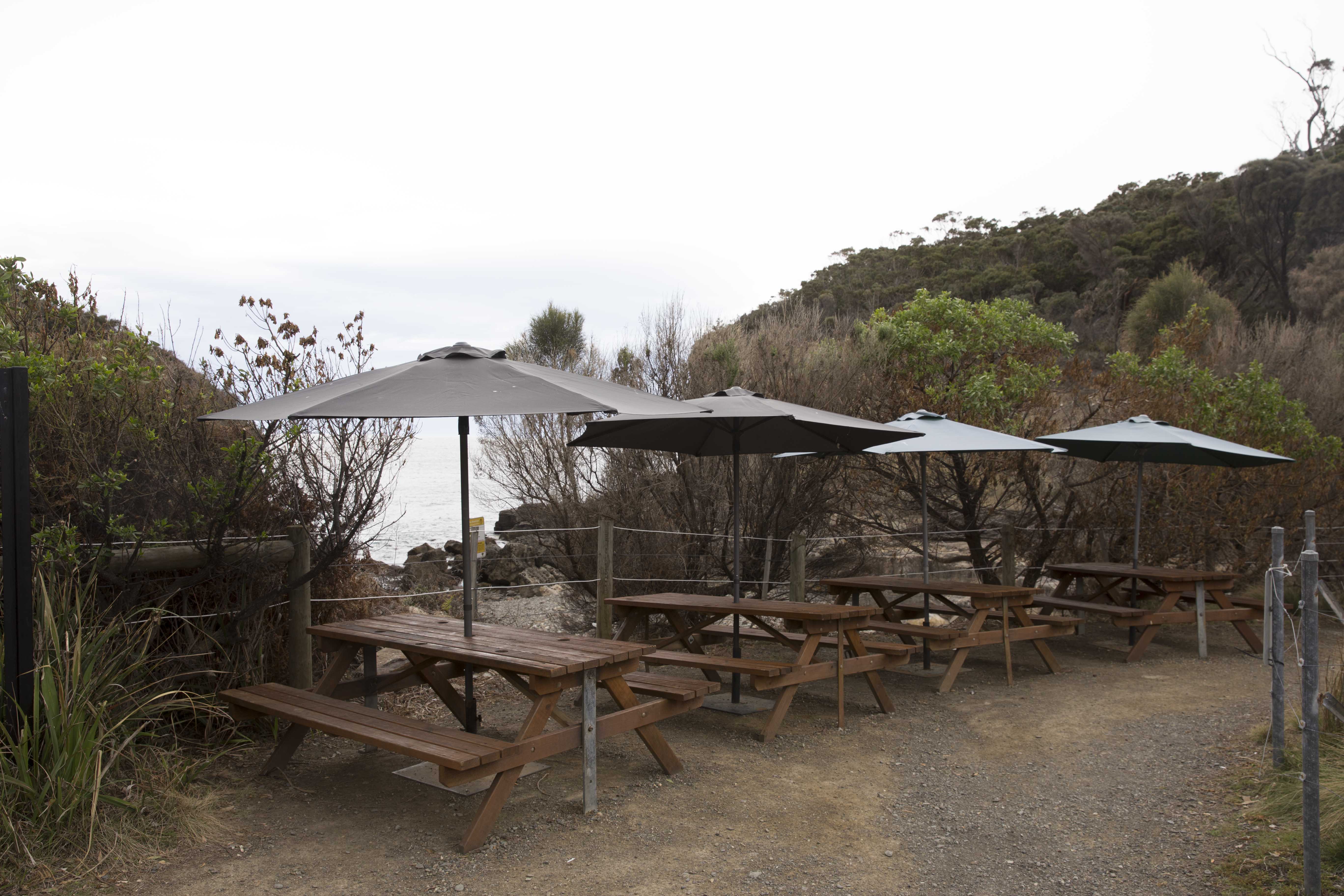 eloiseemmett-com-vip