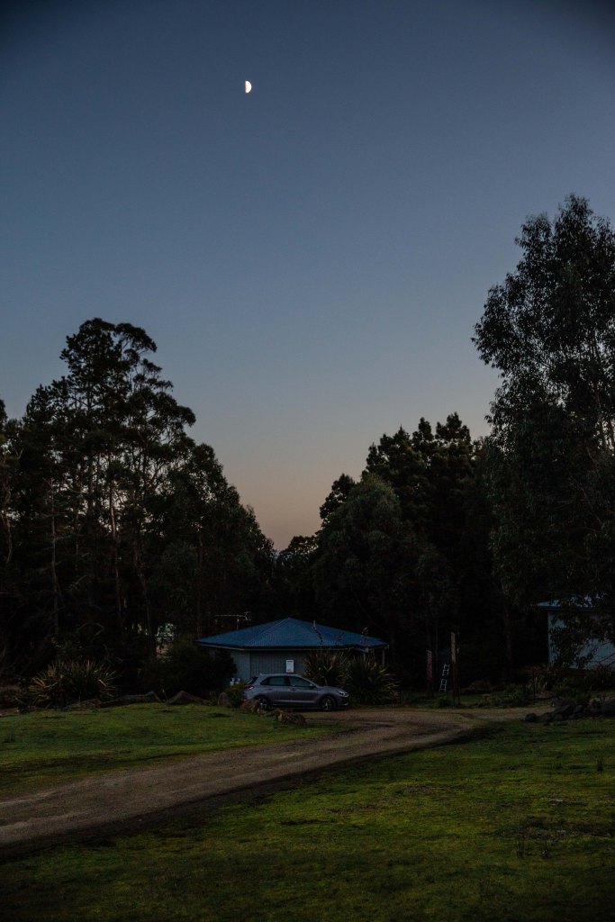 This image has an empty alt attribute; its file name is img_6865-1.jpeg